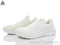 Кроссовки, STILLI Group оптом HB110-4 піна