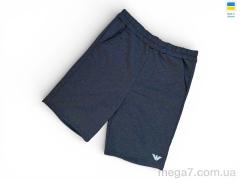 Шорты, Sport style оптом 02AM т.сірий