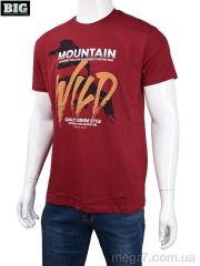 Футболка, BIG оптом 3707-0085-1 bordo