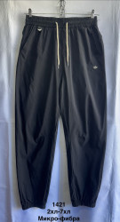 Спортивные штаны мужские ПОЛУБАТАЛ оптом 17349506 1421-69