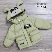 Куртка, Kids-modnik оптом K2615 зелений