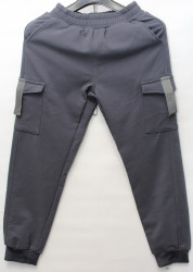Спортивные штаны мужские на флисе (grey) оптом 41763598 N91003-9