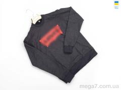 Кофта, Sport style оптом 81LE т.сірий