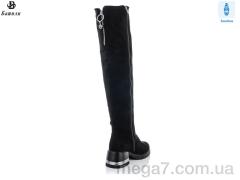 Ботфорты, Башили оптом K246
