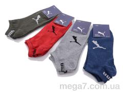 Носки, Obuvok оптом OBUVOK S99P (05975) mix