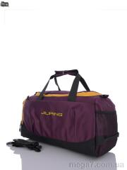 Сумка, Superbag оптом 4131 violet (5-30)