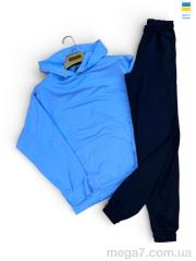 Спортивный костюм, Sport style оптом 115-1023 джинс з чорний