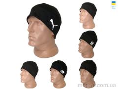 Шапка, Mabi оптом 0283 mix