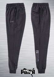 Спортивные штаны мужские на флисе (темно-серый) оптом 91345862 01-12