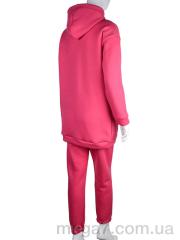 Спортивный костюм, Мир оптом 2694-1 pink