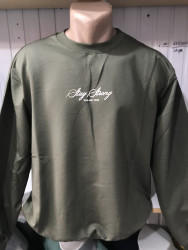 Свитшоты мужские БАТАЛ оптом 34029865 69-18