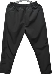 Спортивні штани чоловічі на флісі оптом  