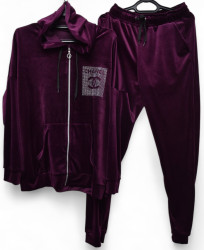 Спортивные костюмы женские БАТАЛ (фиолетовый) оптом 02537418 02-7