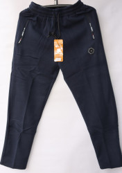 Спортивные штаны мужские на флисе (dark blue) оптом 09567428 A21-13