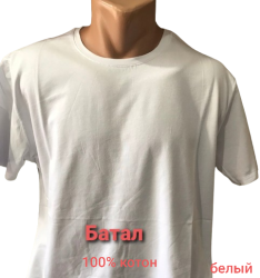 Футболки мужские БАТАЛ оптом 38049217 01003-148
