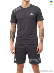 Спортивный костюм, Sport style оптом 11AD сірий