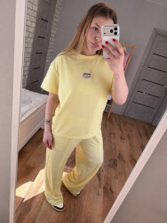 Спортивные костюмы женские БАТАЛ оптом 96513208 8885-184