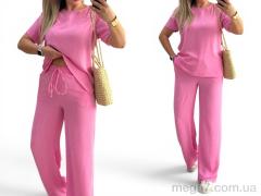 Спортивный костюм, Alisa Brand оптом 222 рожевий