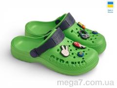 Кроксы, Rai shoes оптом --- 009 зелений
