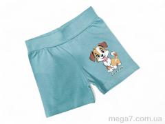 Шорты, Kids-modnik оптом 13142 фісташковий