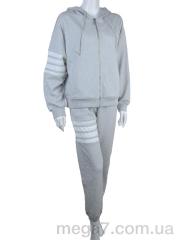 Спортивный костюм, Мир оптом 2880-20232-2 grey