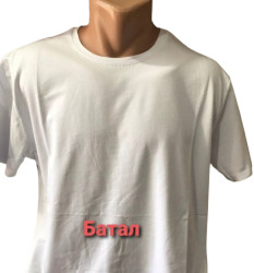 Футболки чоловічі БАТАЛ оптом 