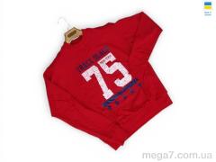 Кофта, Sport style оптом 81 червоний