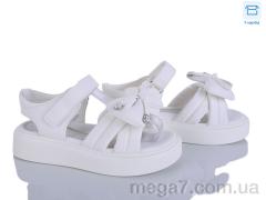 Босоножки, Clibee-ShoSho оптом ZC178-2