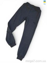 Спортивные брюки, Sport style оптом 02Pu т.сірий