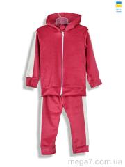 Спортивный костюм, Kir15 оптом 183284 рожевий