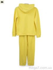 Спортивный костюм, BIG оптом 3750-805-4 yellow