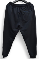 Спортивні штани чоловічі БАТАЛ оптом