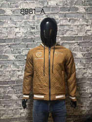 Куртки демисезонные мужские оптом 07219564 8981-22