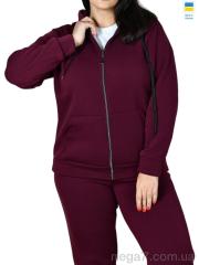 Спортивный костюм, Sport style оптом 12 бордовий