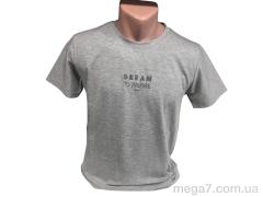 Футболка, TurkishBrend оптом C007 сірий меланж