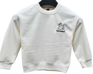 Світшоти дитячі оптом