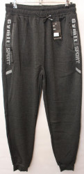 Спортивные штаны мужские на флисе (gray) оптом 78952036 WK7123-5