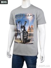 Футболка, BIG оптом 3707-116-3 grey