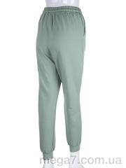 Спортивные штаны, Red Hat оптом RED HAT 17-8001-1 l.green