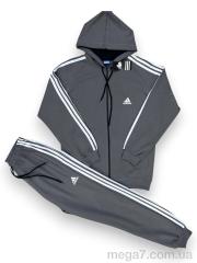 Спортивный костюм, Verton оптом 202 d.grey