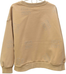 Свитшоты подростковые оптом 16735208 5832-44