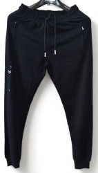 Спортивные штаны мужские POMAXI (черный) оптом 82407135 03-40