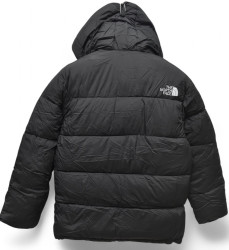 Куртки зимние юниор (черный) оптом 48536902 F-02-32