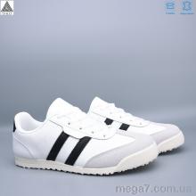 Кроссовки, STILLI Group оптом ZH20-2 шкіра