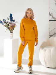 Спортивные костюмы женские на флисе оптом 63245789 24069-5