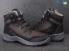 Ботинки, Paolla оптом 361-6513 коричневий