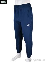 Спортивные брюки, BIG оптом 4033-A05-2 navy