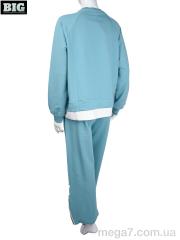 Костюм, BIG оптом 3708-4249-1 l.blue