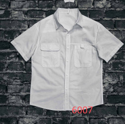 Рубашки мужские оптом 69283570 6007-38