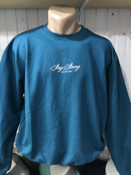 Світшоти чоловічі БАТАЛ оптом